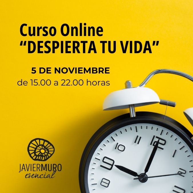 05112023 Curso Online Despierta tu Vida