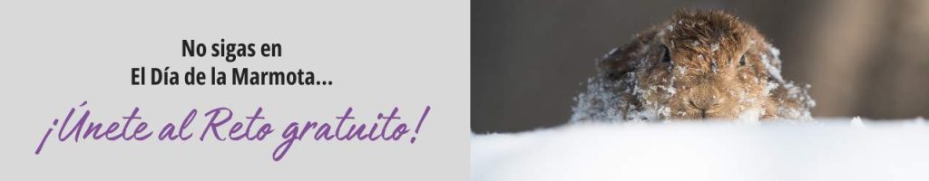 Banner Reto Enero