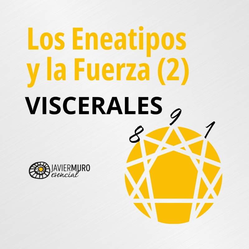 Los Eneatipos y la Fuerza parte 2 - Viscerales