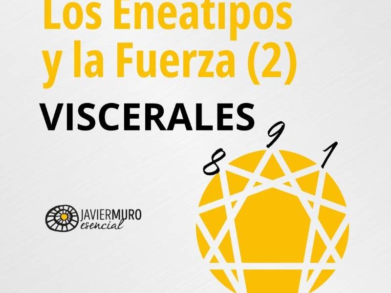 Los Eneatipos y la Fuerza parte 2 - Viscerales