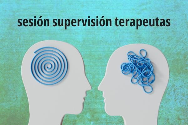 Sesión suupervisión terapeutas Javier Muro