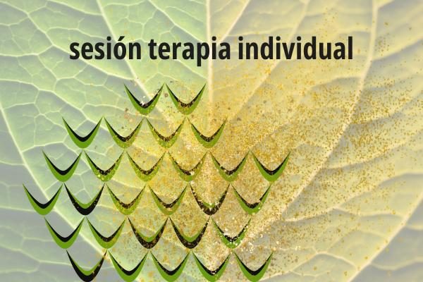 Sesión terapia individual Javier Muro